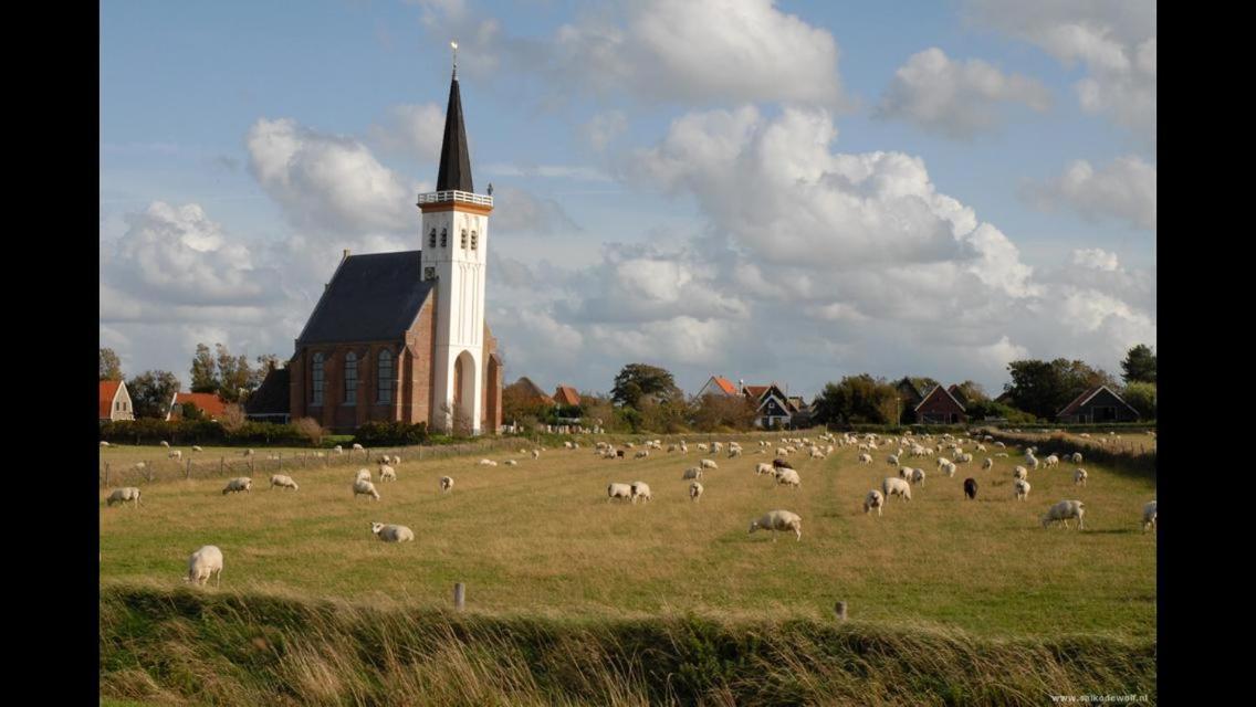 Homestay Texelstrand